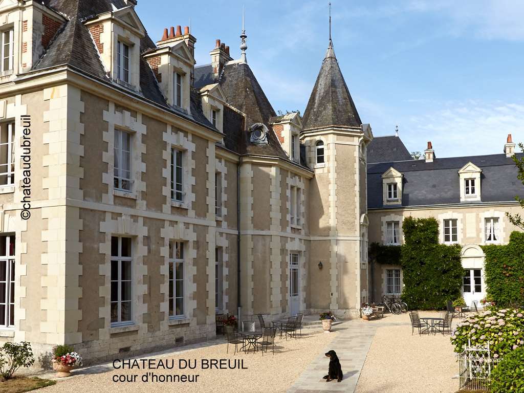 שברני Chateau Du Breuil מראה חיצוני תמונה