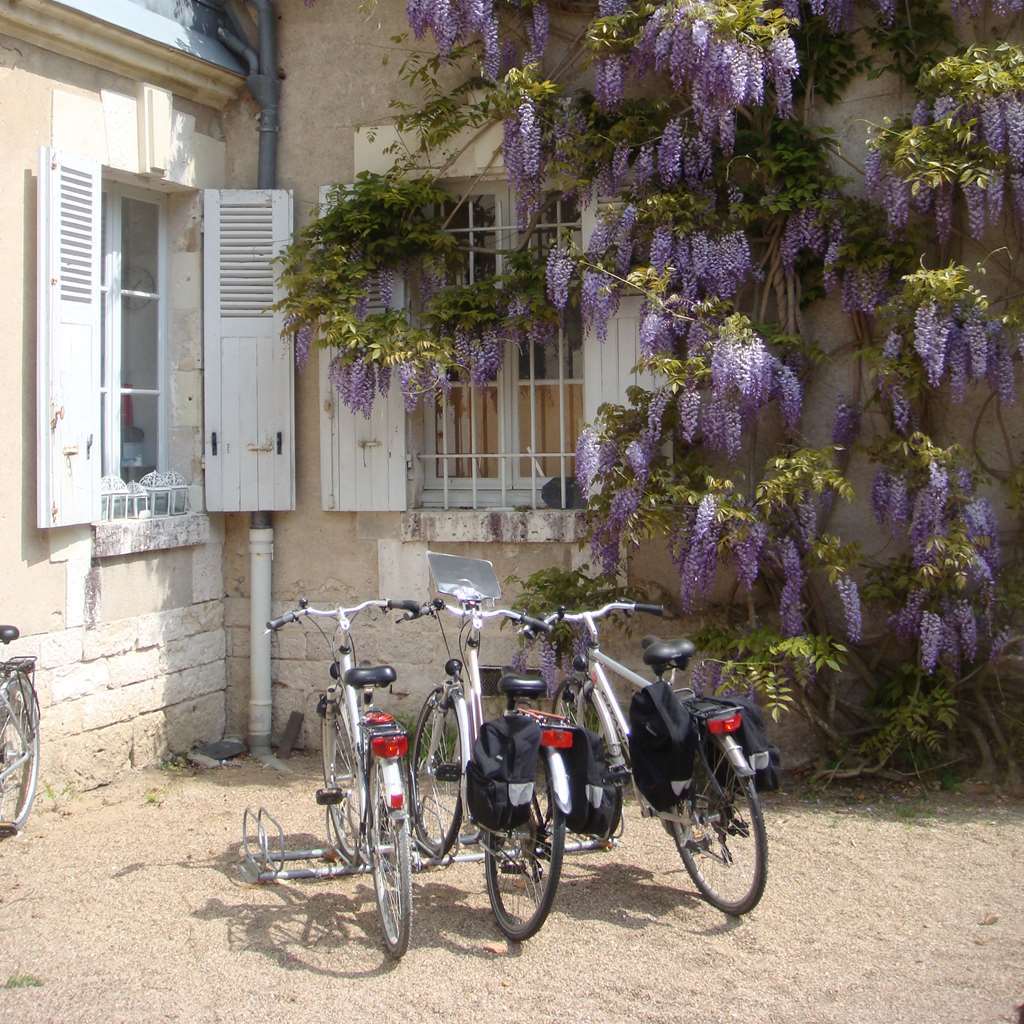 שברני Chateau Du Breuil מראה חיצוני תמונה
