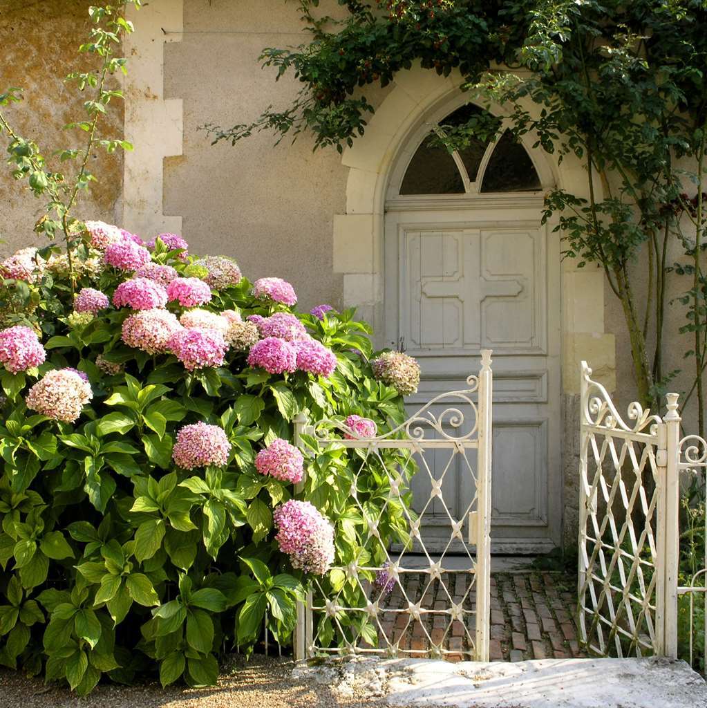 שברני Chateau Du Breuil מראה חיצוני תמונה